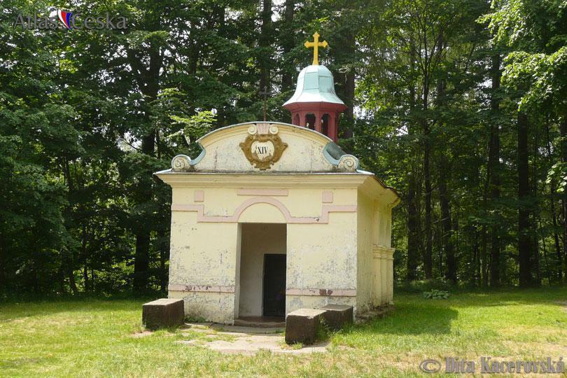 Chata Pod Tolstejnem Villa Jiřetín pod Jedlovou Exterior foto